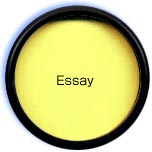 Essay